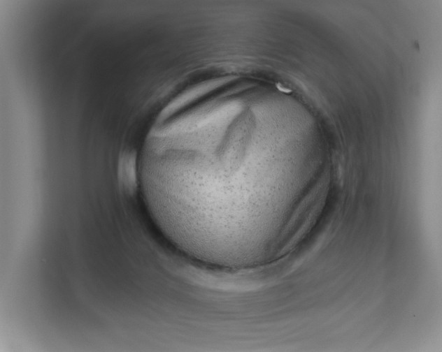 X0000111940028200908101211