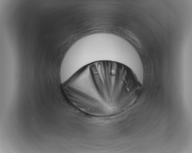 X0000111940029200908101211