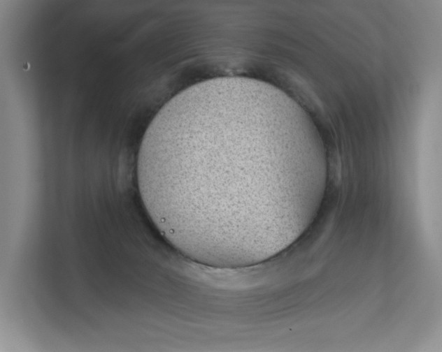 X0000111940030200908101211