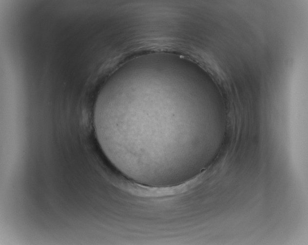 X0000111940031200908101211