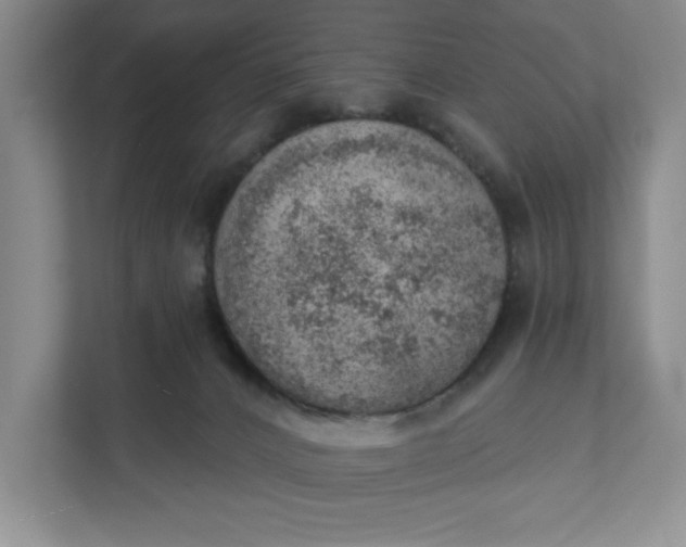 X0000111940032200908101211