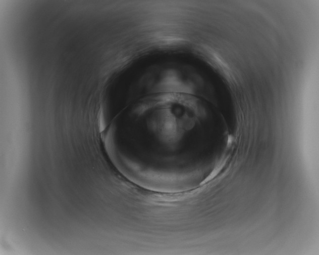 X0000111940033200908101211