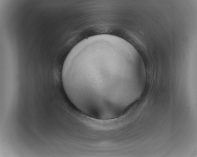 X0000111940035200908101211