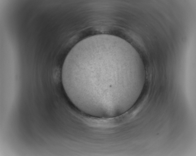 X0000111940036200908101211