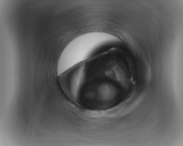 X0000111940037200908101211