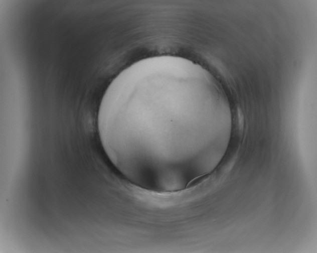 X0000111940039200908101211