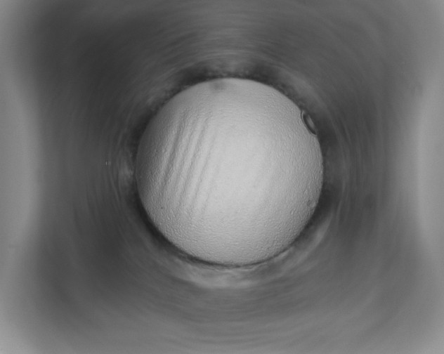 X0000111940040200908101211