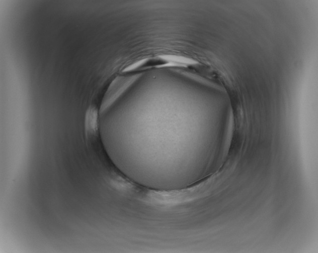 X0000111940041200908101211