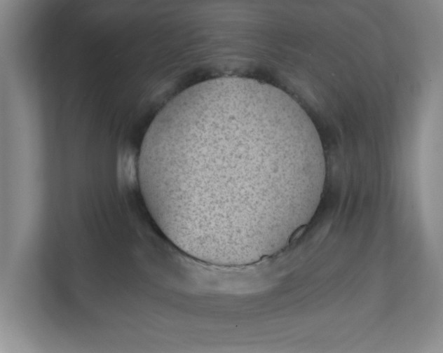 X0000111940042200908101211