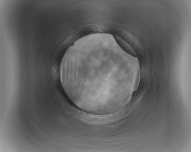 X0000111940043200908101211