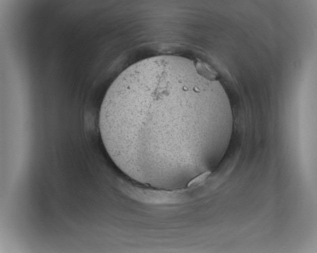 X0000111940044200908101211