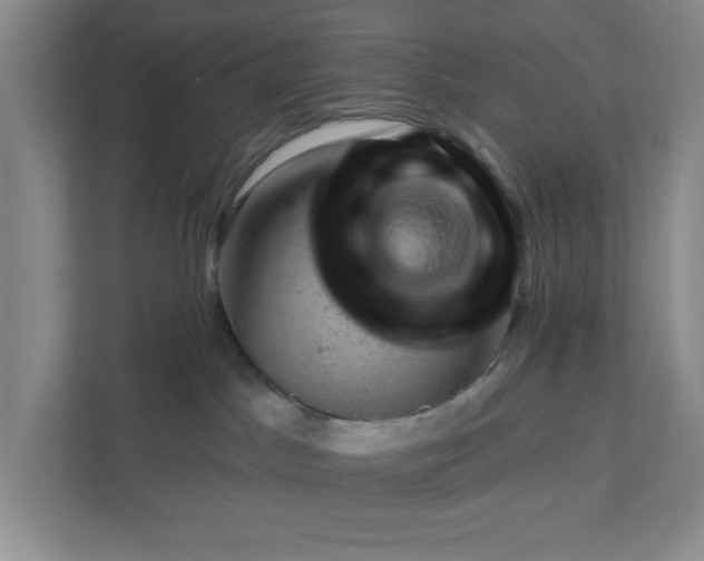 X0000111940045200908101211