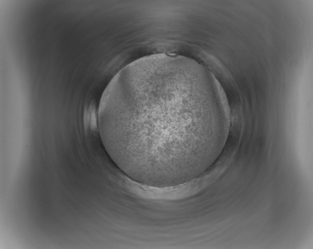 X0000111940046200908101211