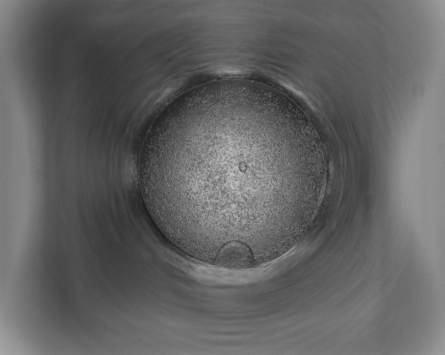 X0000111940048200908101211