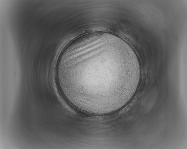 X0000111940049200908101210