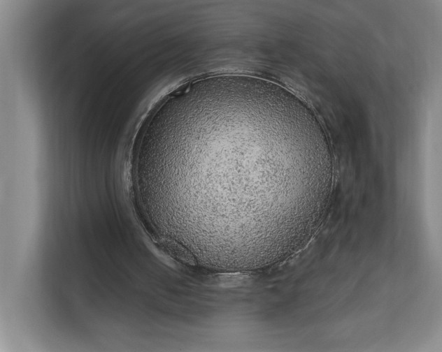 X0000111940050200908101210