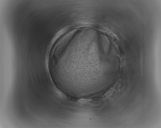 X0000111940051200908101210