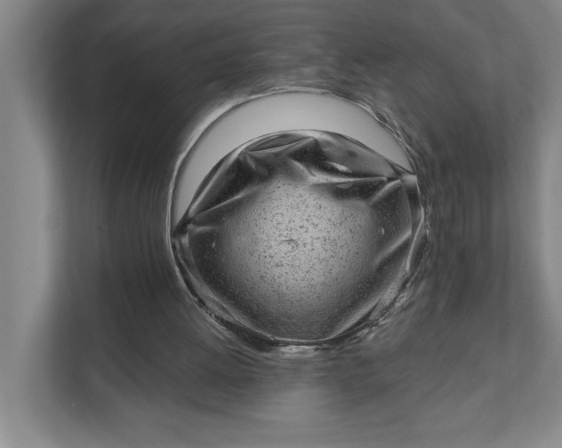 X0000111940052200908101210