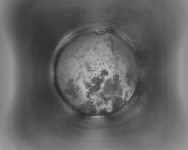 X0000111940053200908101210