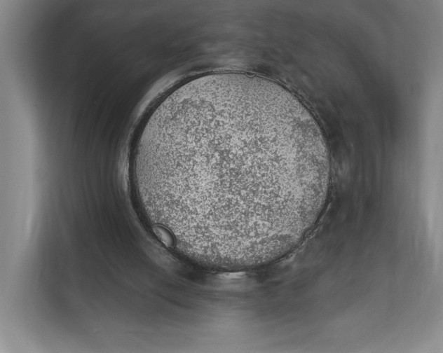 X0000111940054200908101210