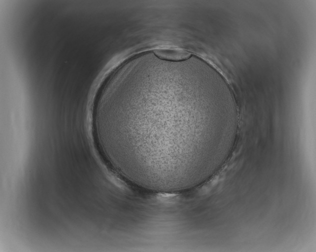 X0000111940055200908101210