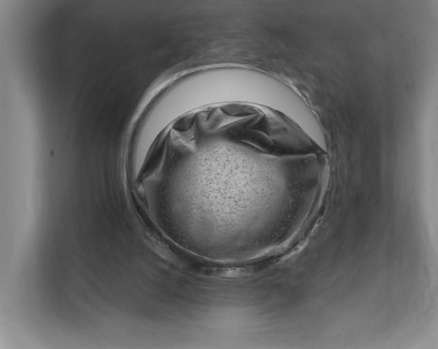 X0000111940056200908101210