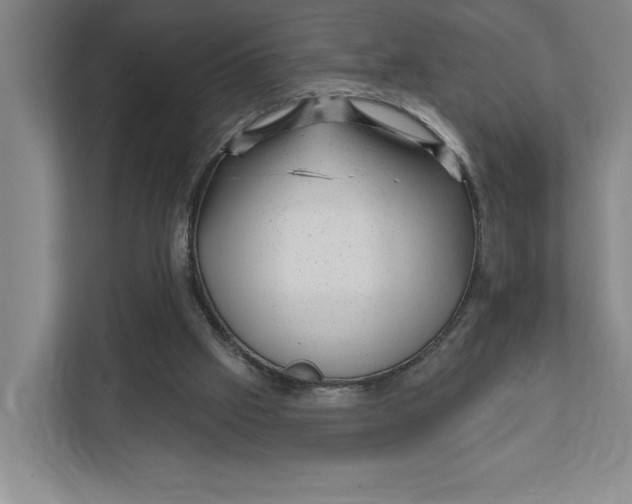 X0000111940057200908101210