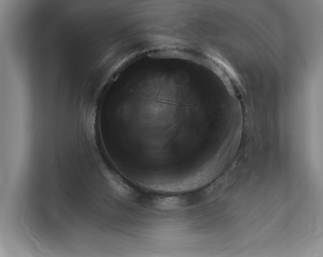 X0000111940058200908101210