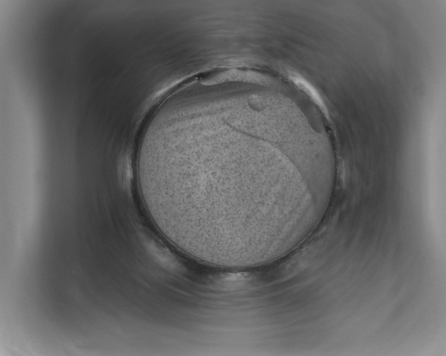 X0000111940059200908101210