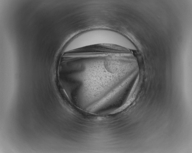 X0000111940060200908101210