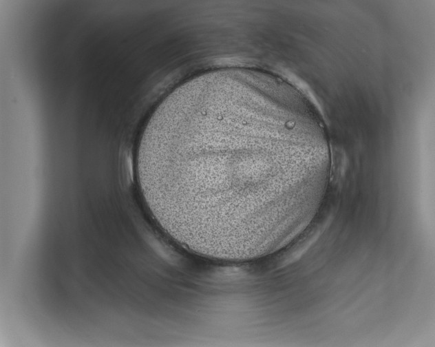 X0000111940061200908101210