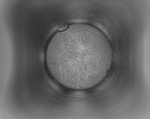 X0000111940063200908101210