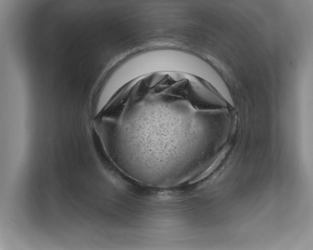 X0000111940064200908101210