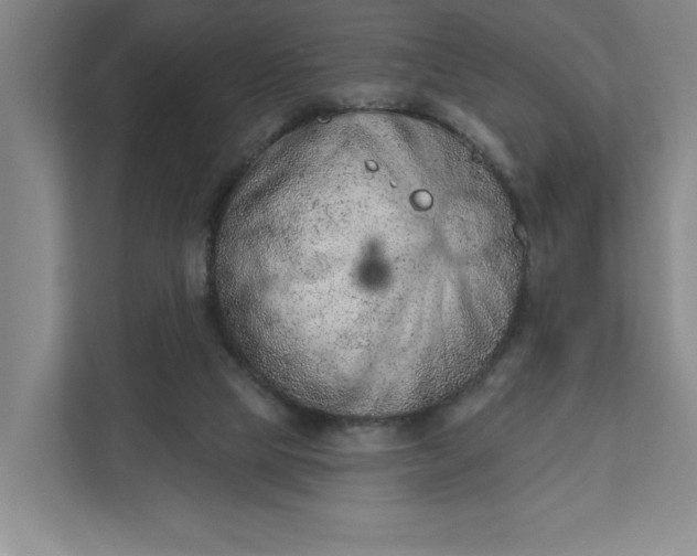 X0000111940065200908101210