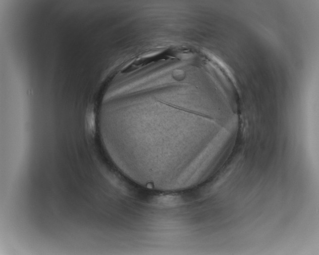 X0000111940067200908101210