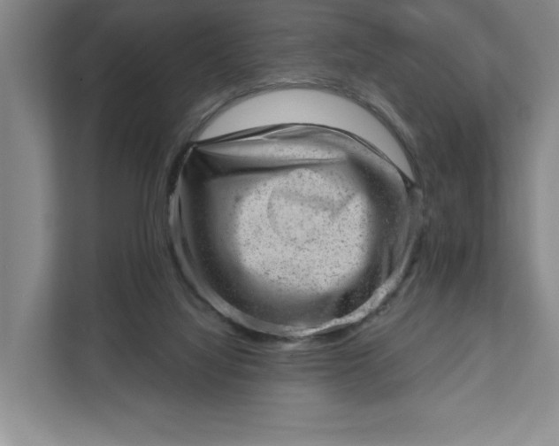 X0000111940068200908101210