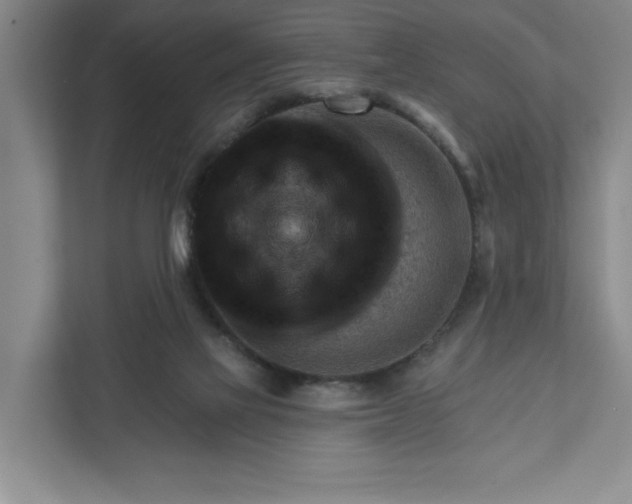 X0000111940069200908101210