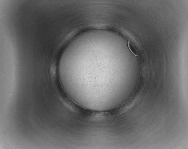 X0000111940072200908101211