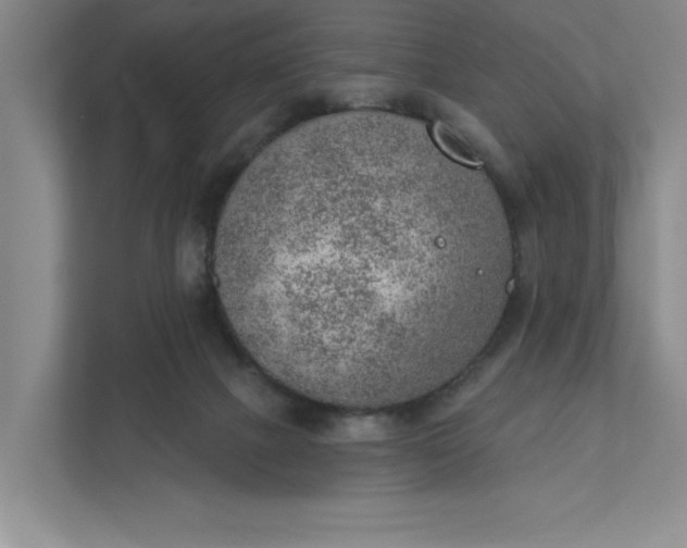 X0000111940073200908101211