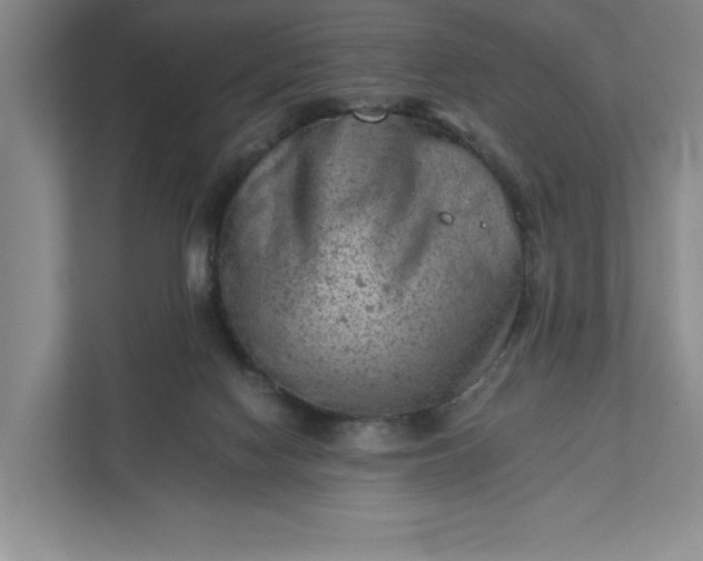 X0000111940074200908101211