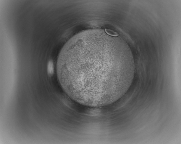 X0000111940075200908101211