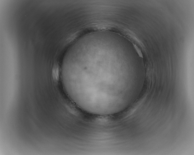 X0000111940076200908101211