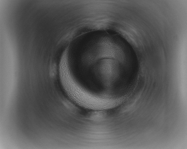 X0000111940077200908101211