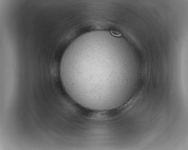 X0000111940078200908101211