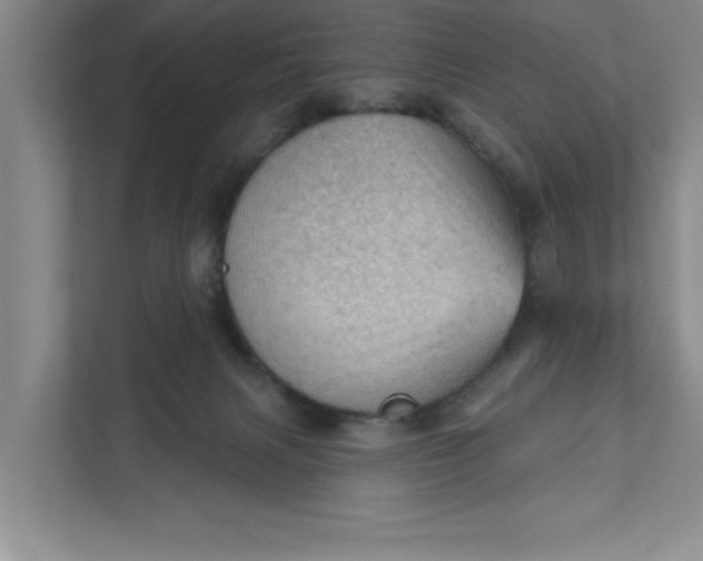 X0000111940079200908101211