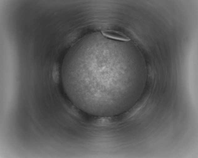 X0000111940080200908101211