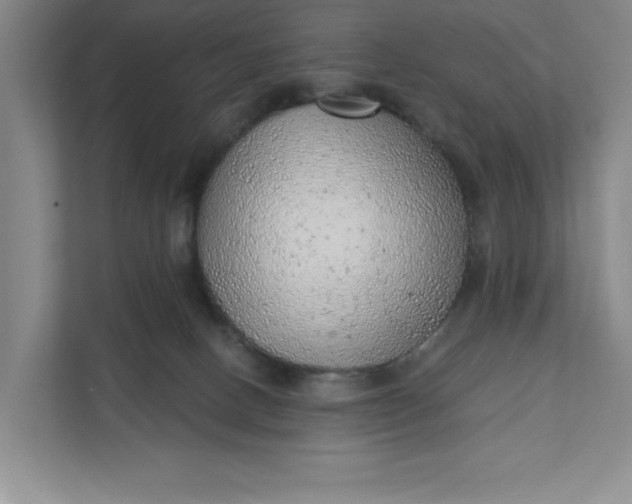 X0000111940082200908101211