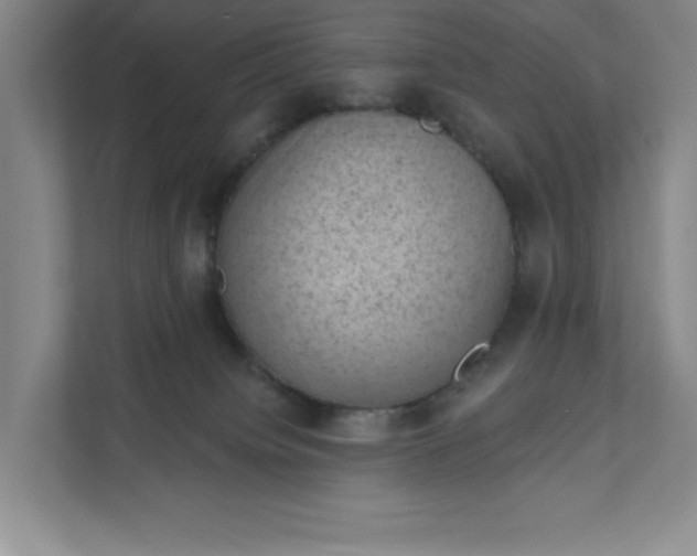 X0000111940084200908101211