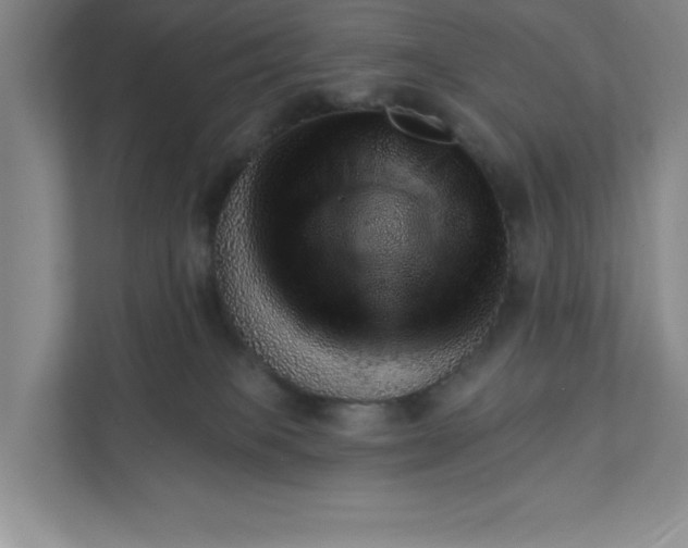 X0000111940085200908101211