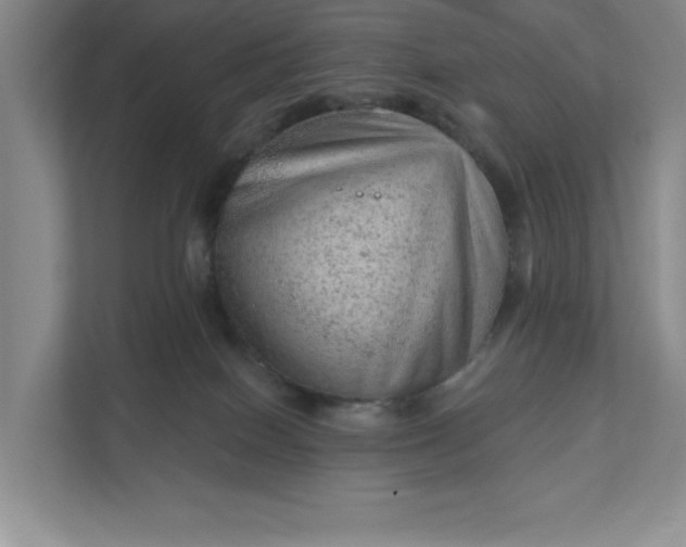 X0000111940086200908101211